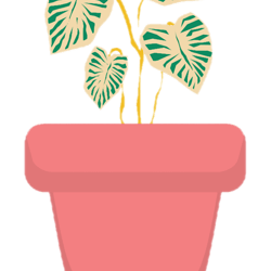 simple flower pot