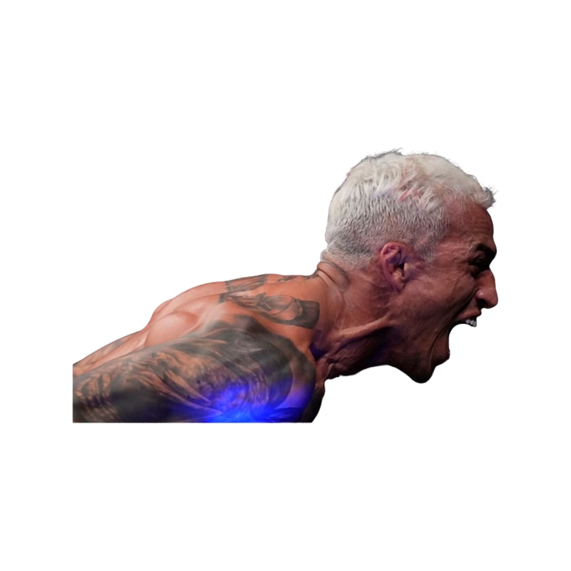 CHARLES OLIVEIRA (25).png