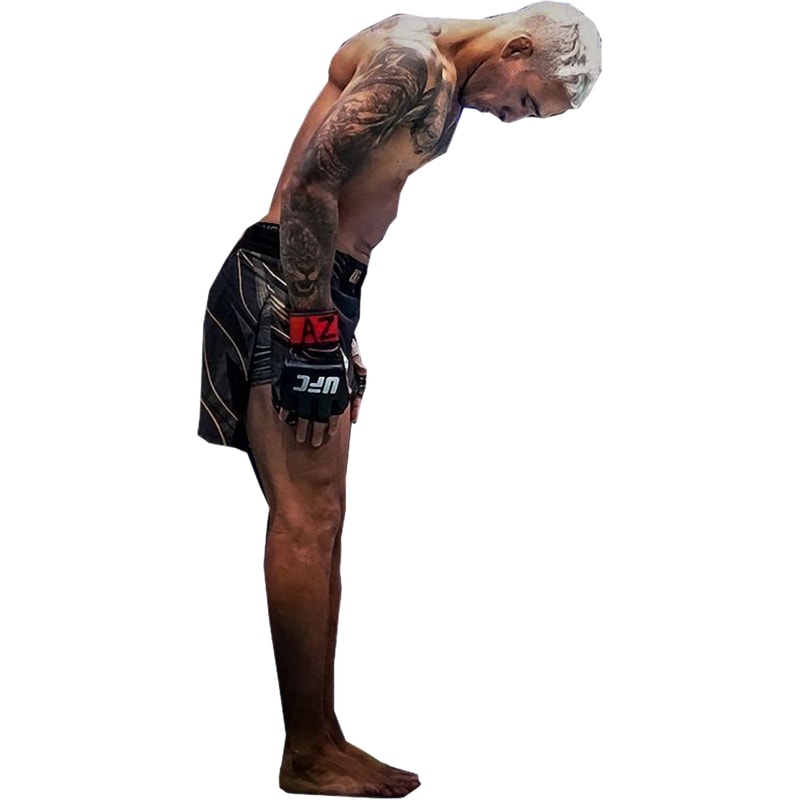 charles oliveira Sticker.png