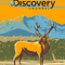 Discovery Channel Classic .png