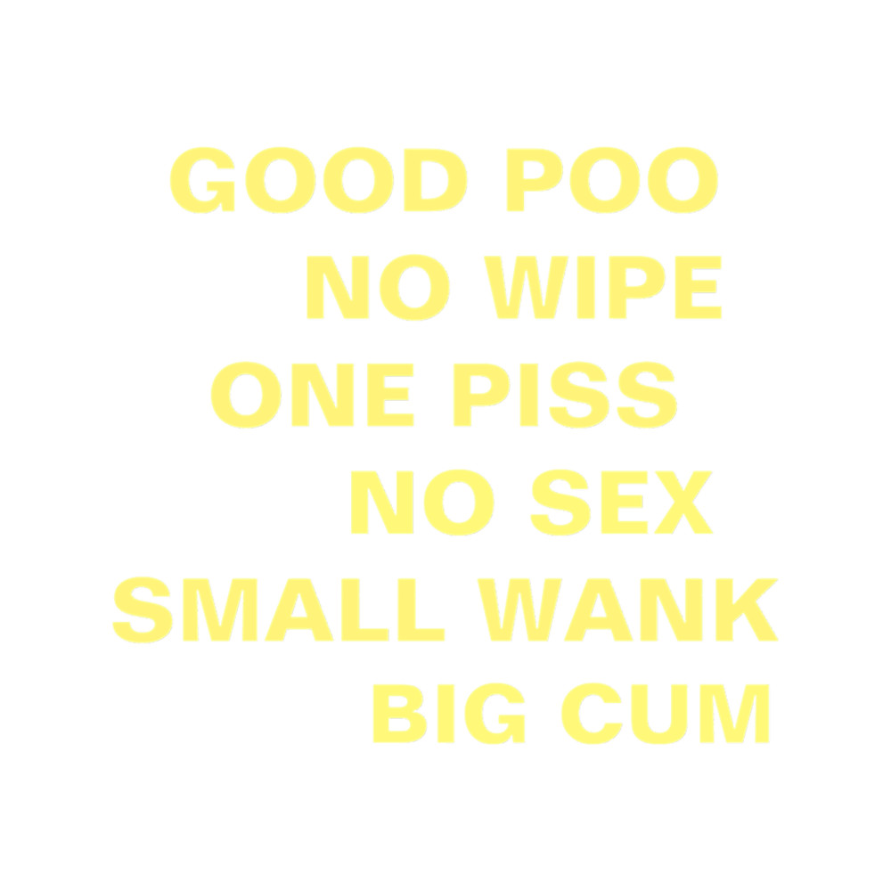 GOOD POO NO WIPE ONE PISS NO SEX SMALL WANK BIG CUM .png