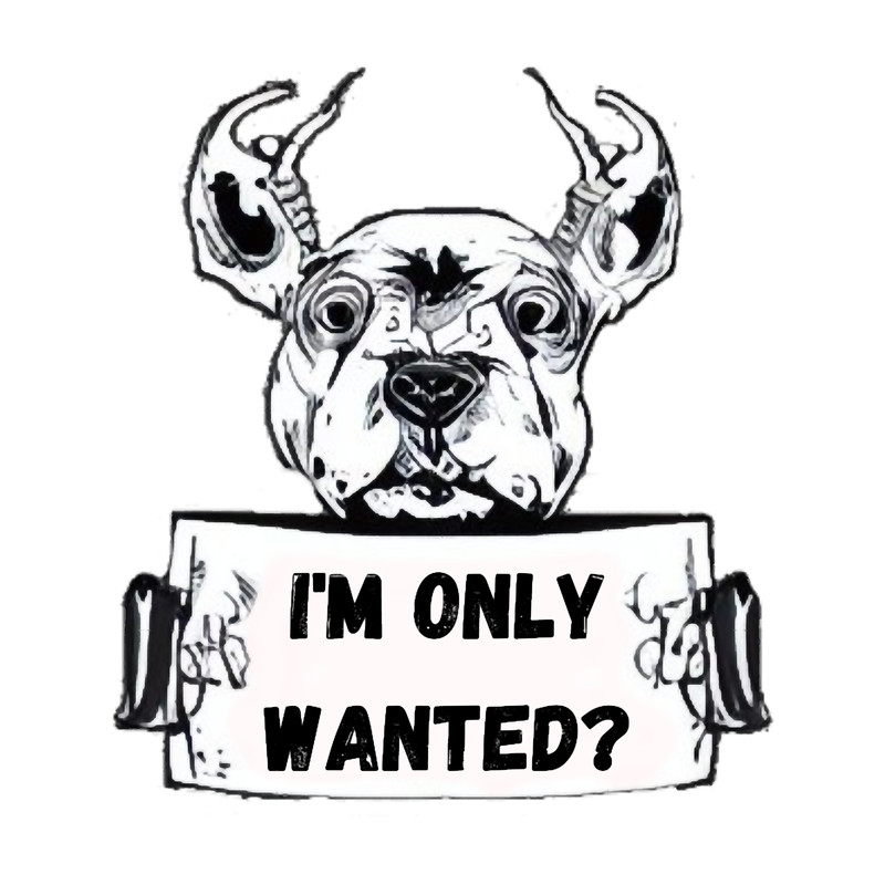 I_m only Wanted (without background) Discovery Channel.png