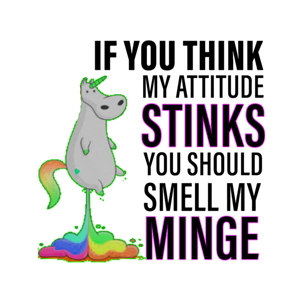 if you think my attitude stinks moomin .png