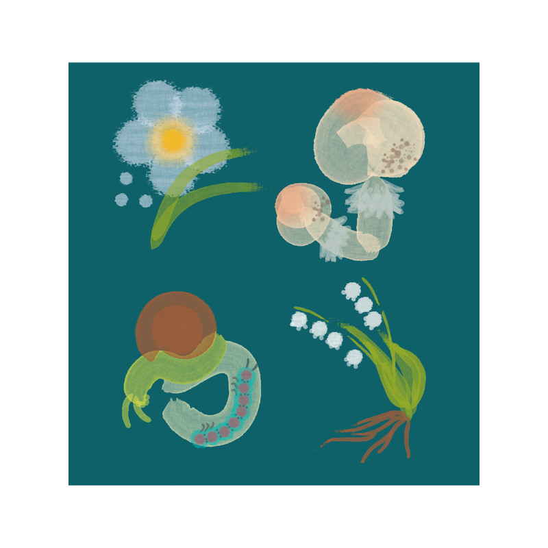 Spring Friends Long .png