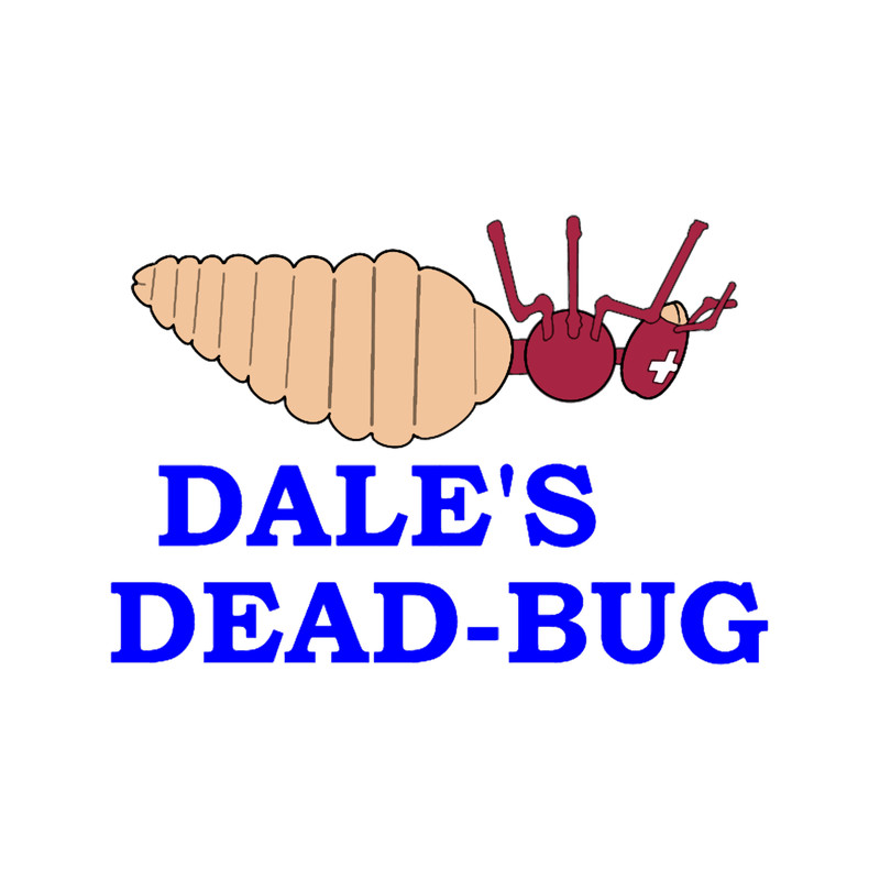 Dead-Bug .png