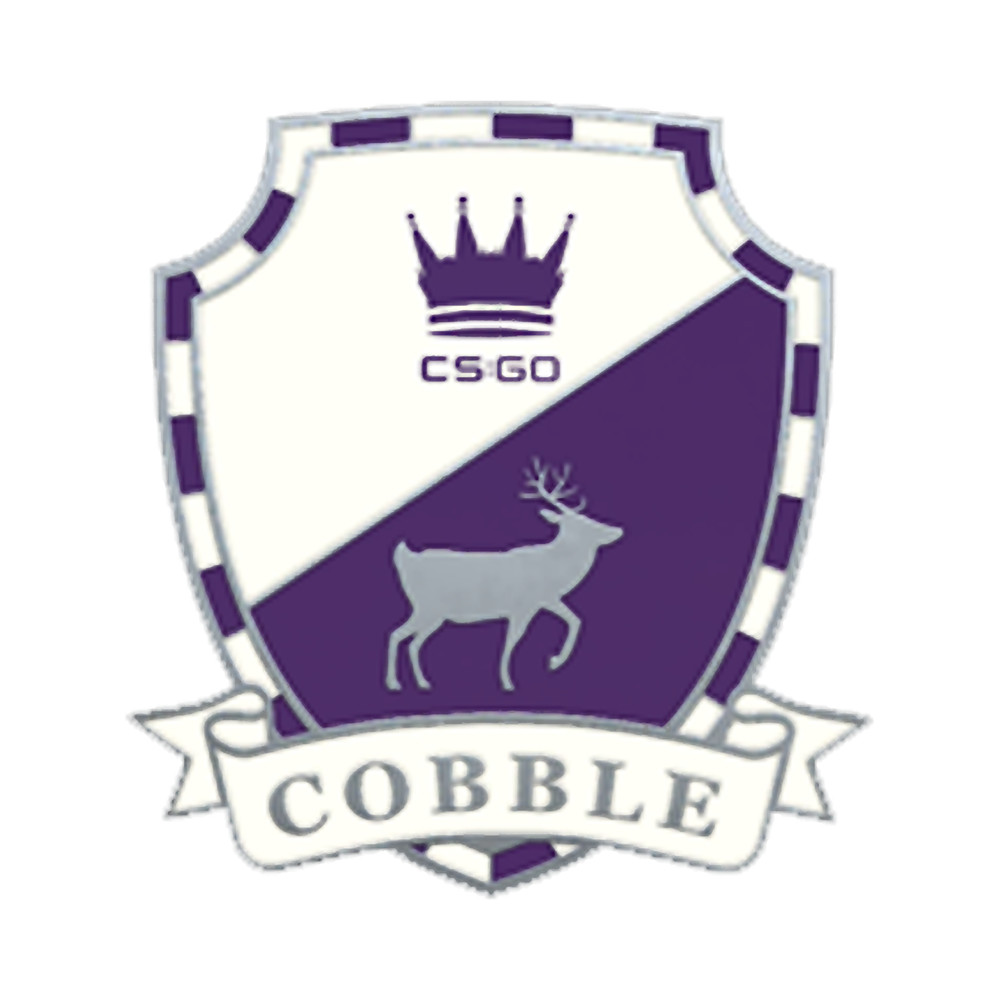 Cobble.png