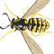 Best Women Never Forget Yellow Jacket Just A Boy Photographic Style.png