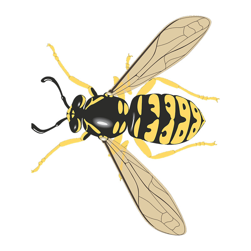 Best Women Never Forget Yellow Jacket Just A Boy Photographic Style.png