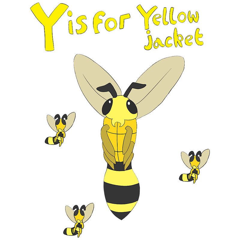 Y is for Yellowjacket.png