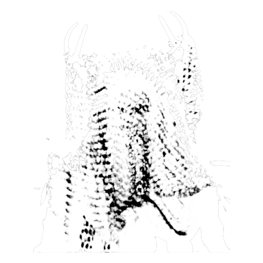 Yellowjackets Antler Queen II.png