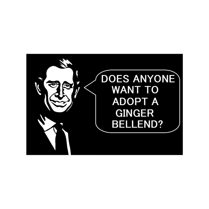 KING CHARLES III - DOES ANYONE WANT TO ADOPT A GINGER BELLEND.png