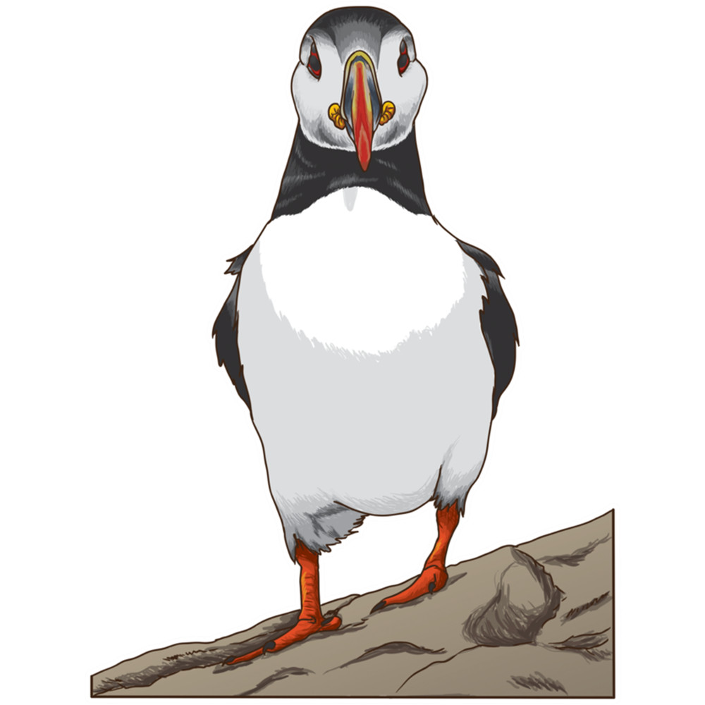 Cute Puffin design .png