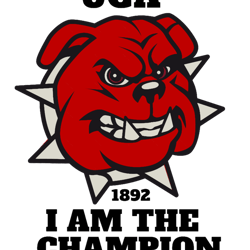 uga national championship (11)