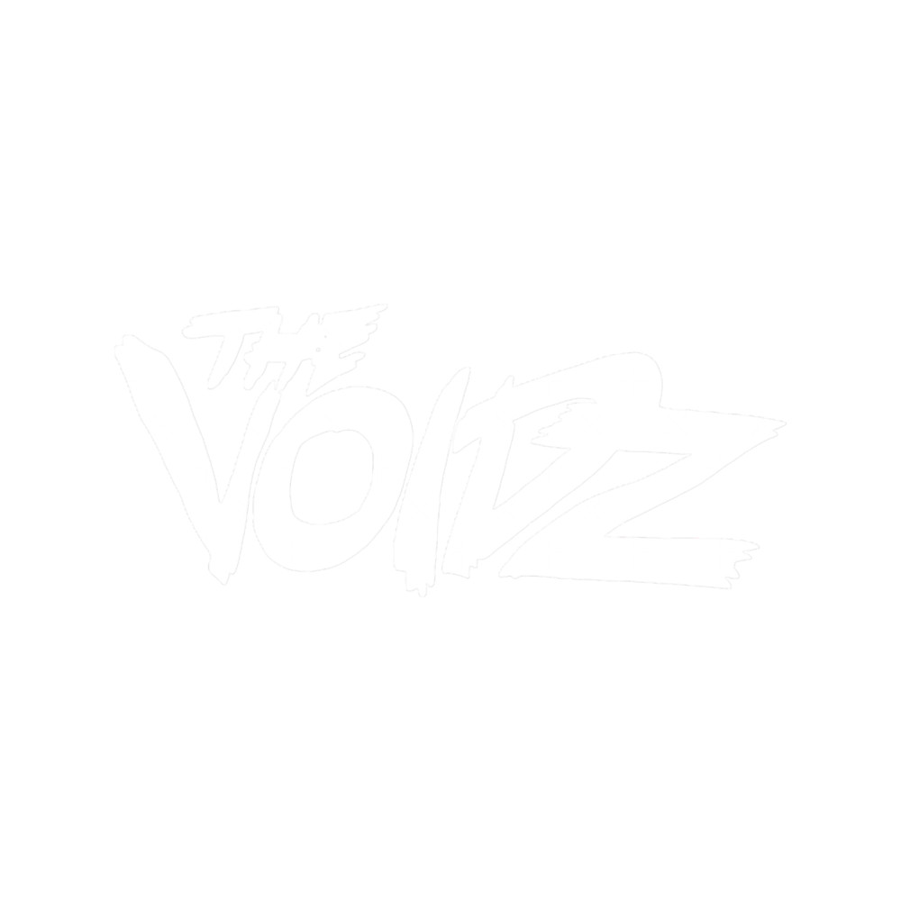 Julian Casablancas _amp_ The Voidz.png