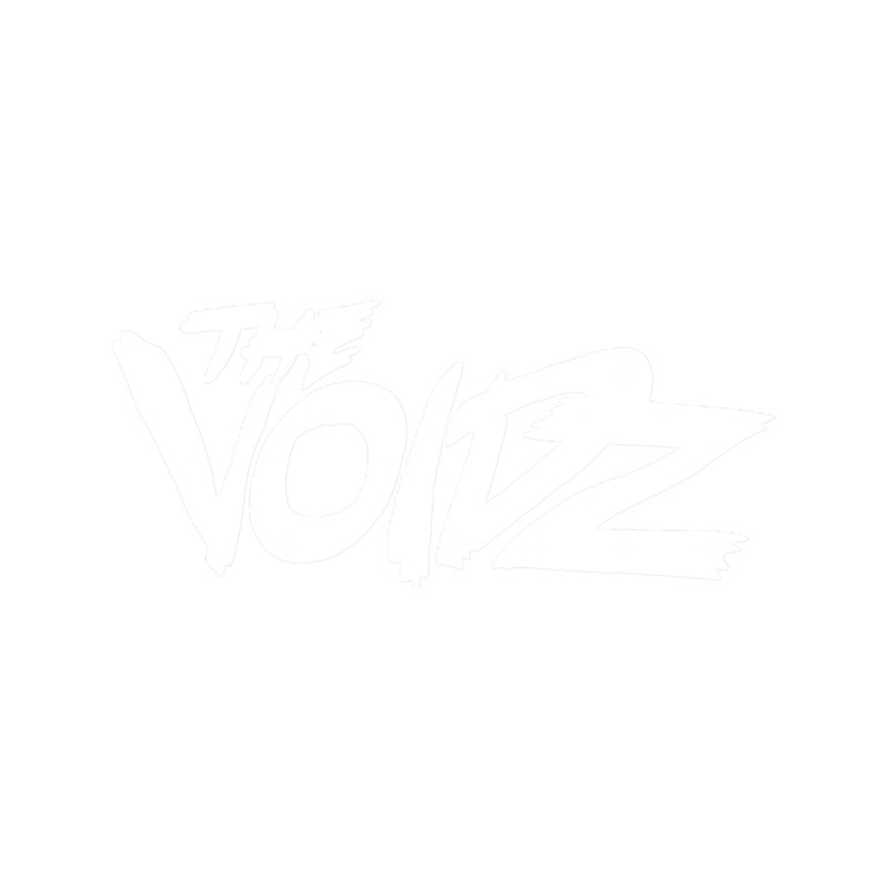 Julian Casablancas _amp_ The Voidz.png