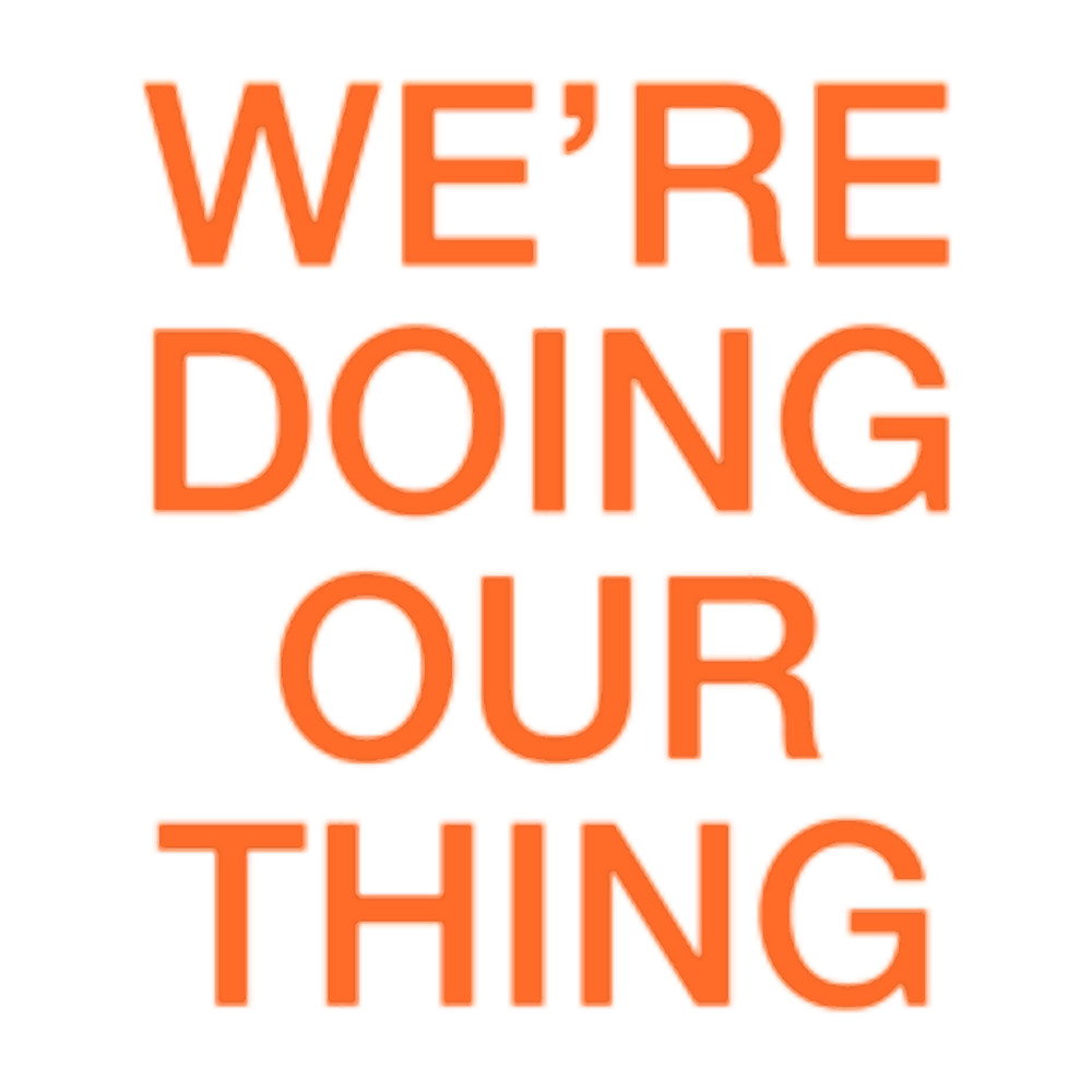 WE_RE DOING OUR THING - THE VOIDZ.png
