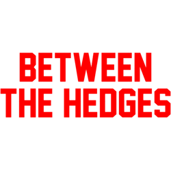 university of georgia