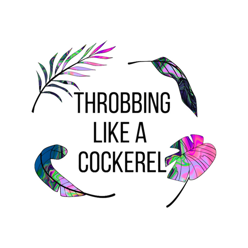 COCKEREL - Funny Bag Translation English Error.png