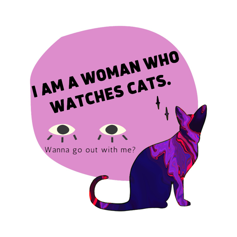 Crazy Cat Lady Relatable Funny Bad Translation English Quote.png
