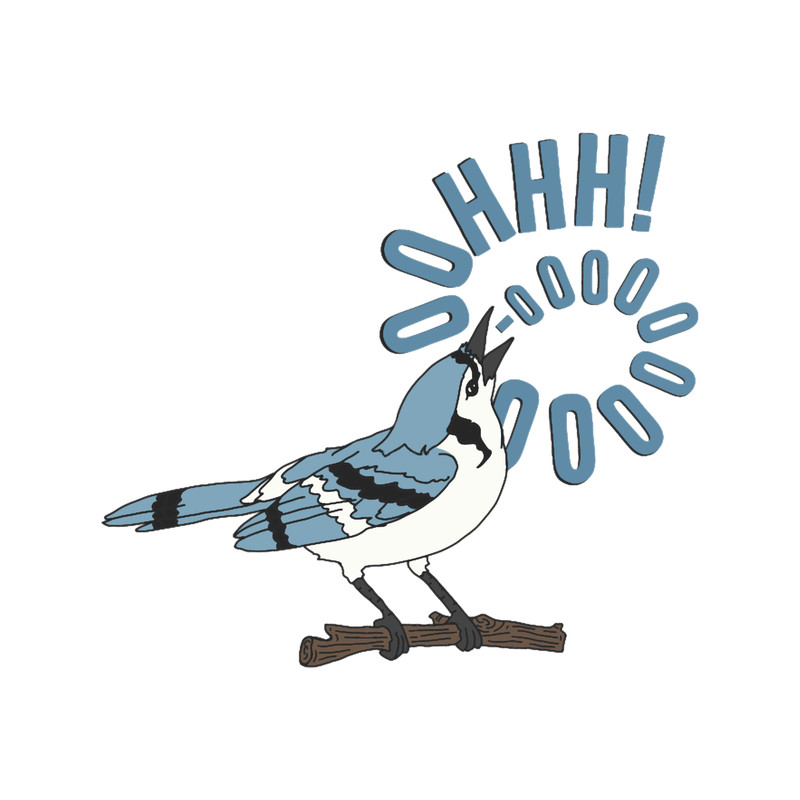 Blue Jay Mordecai OOOOOH!.png