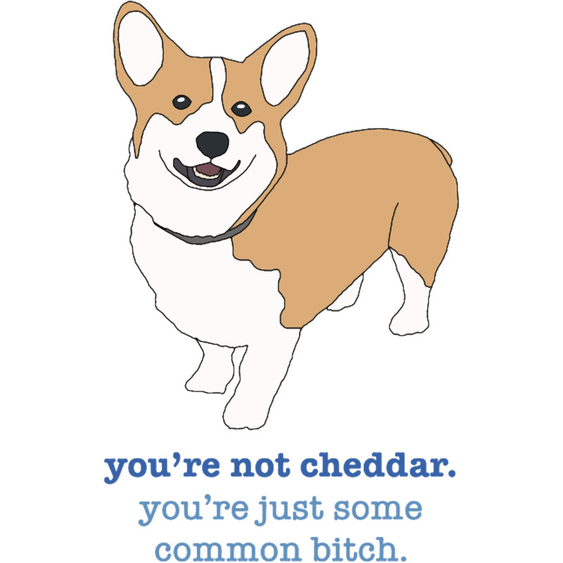 Brooklyn 99 Cheddar.png