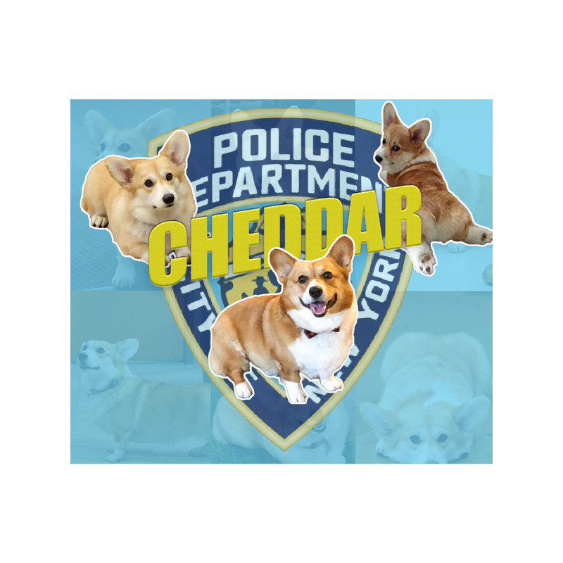 Cheddar The Dog - Brooklyn Nine-Nine.png