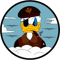 USAF - B-24 Liberaiders World War II - Clean Style .png