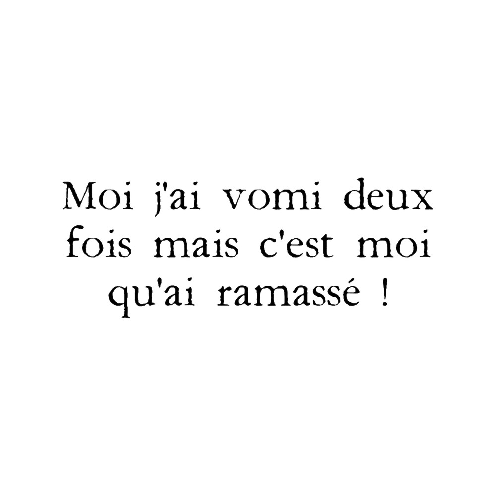 Kaamelott - Merlin10 - I vomited twice but it was I that I picked up!.png