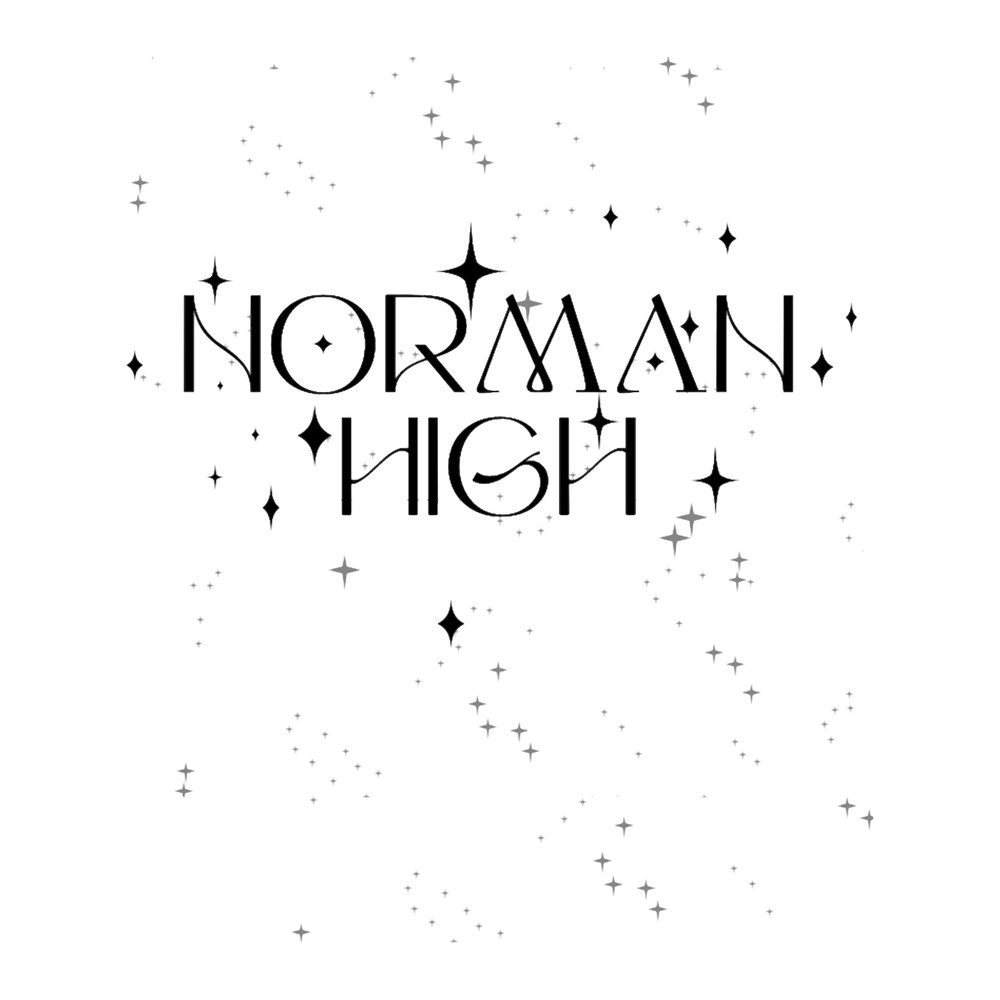 norman high school starry night .png