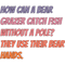 Catch Bear Grazer.png