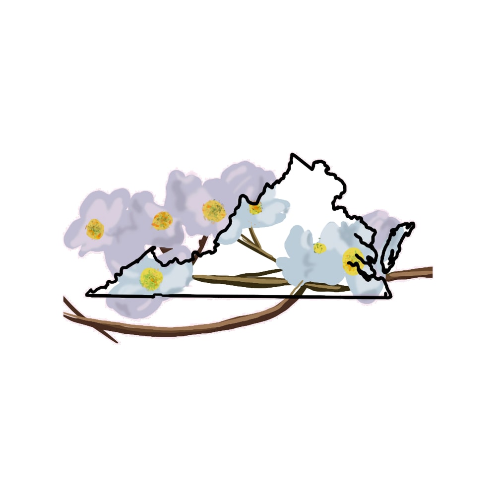 Virginia State Outline with Dogwood Flower.png