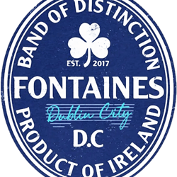 fontaines dc irish postpunk(2)