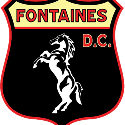 fontaines dc irish postpunk