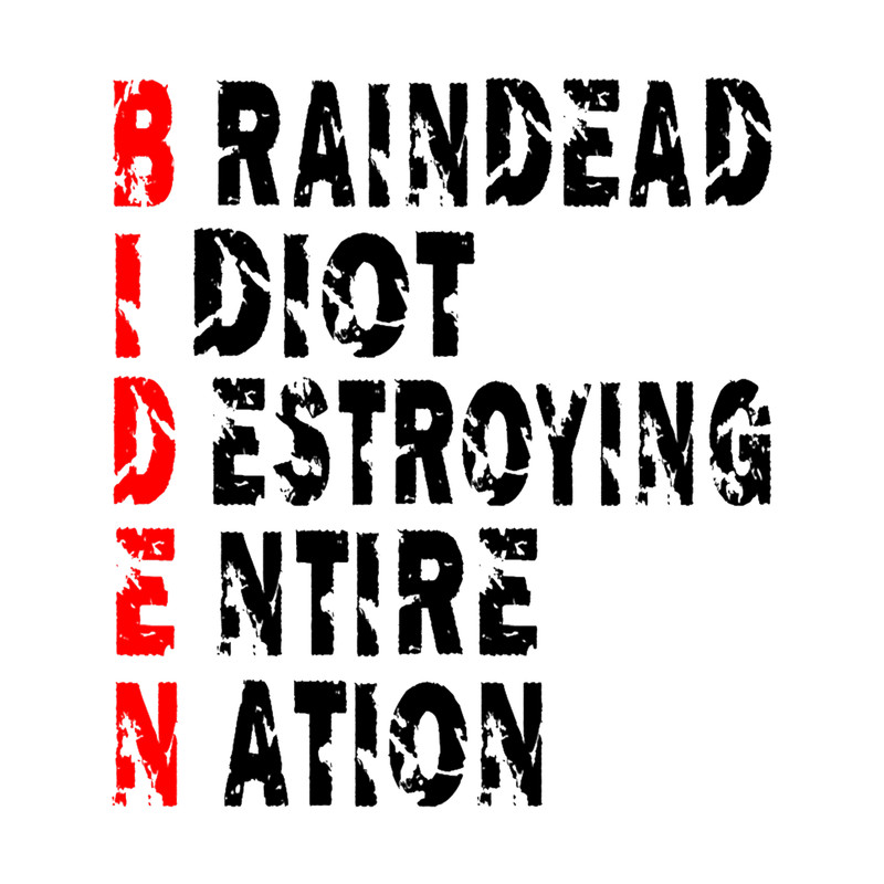 Braindead Idiot Destroying Entire Nation (1).png