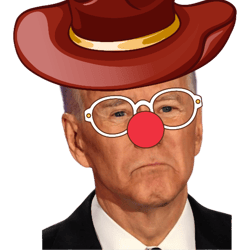 joe biden did i do that