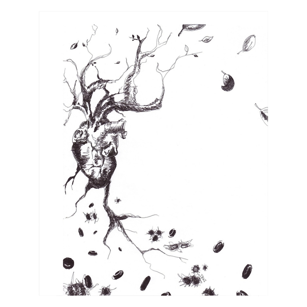 Clown jay ferin .png