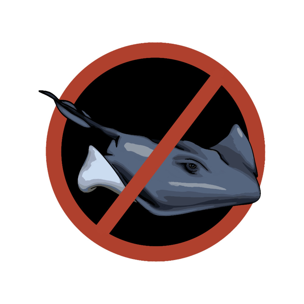 No stingrays allowed .png