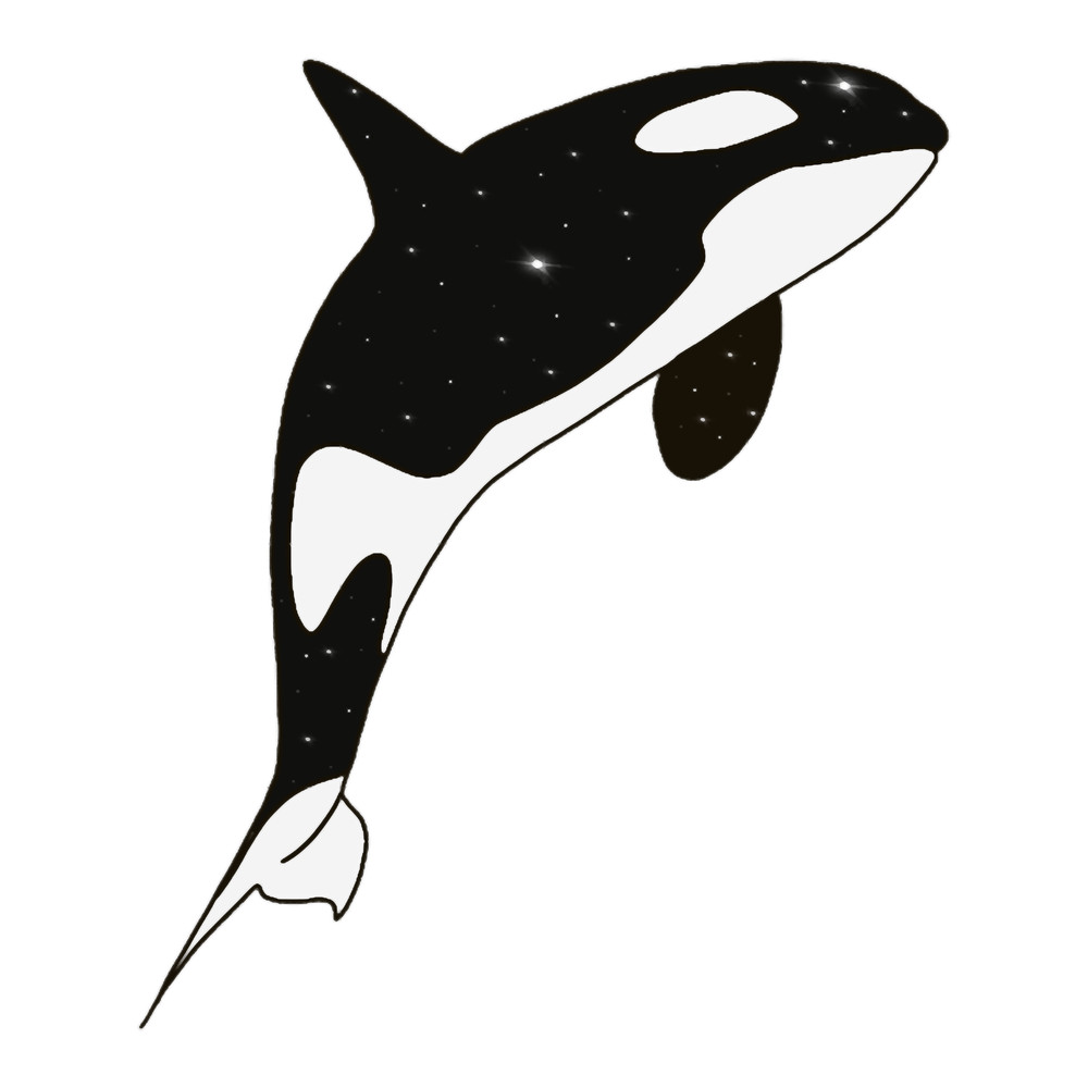 Orca Sky .png