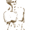DPR Dream Perfect .png