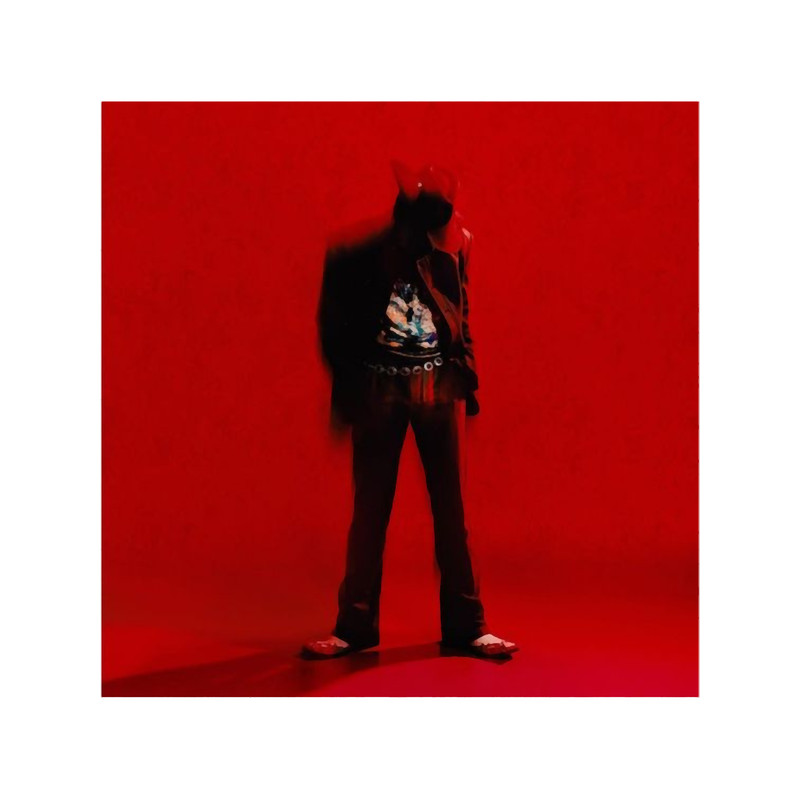 Dpr Ian Moodswings in to Order Album Cover.png