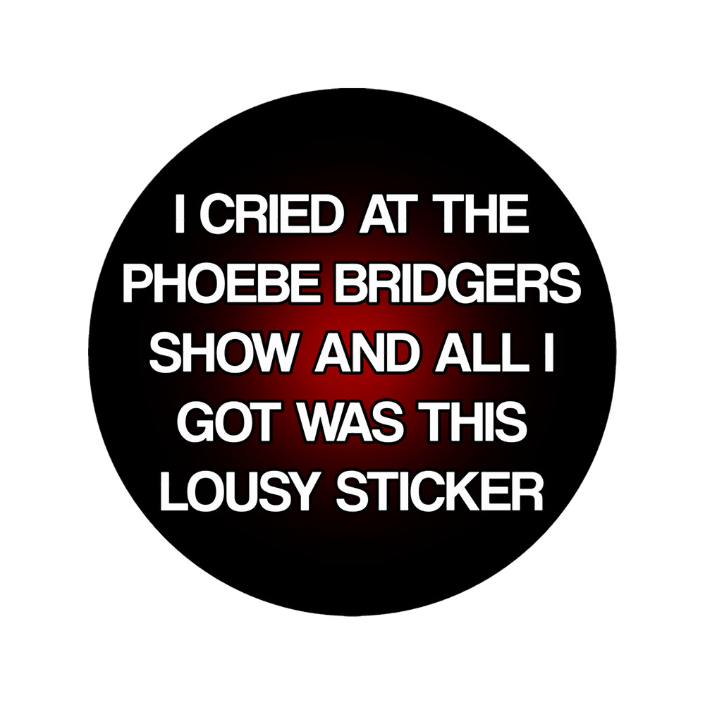 cried at the showphoebe bridgers37.png