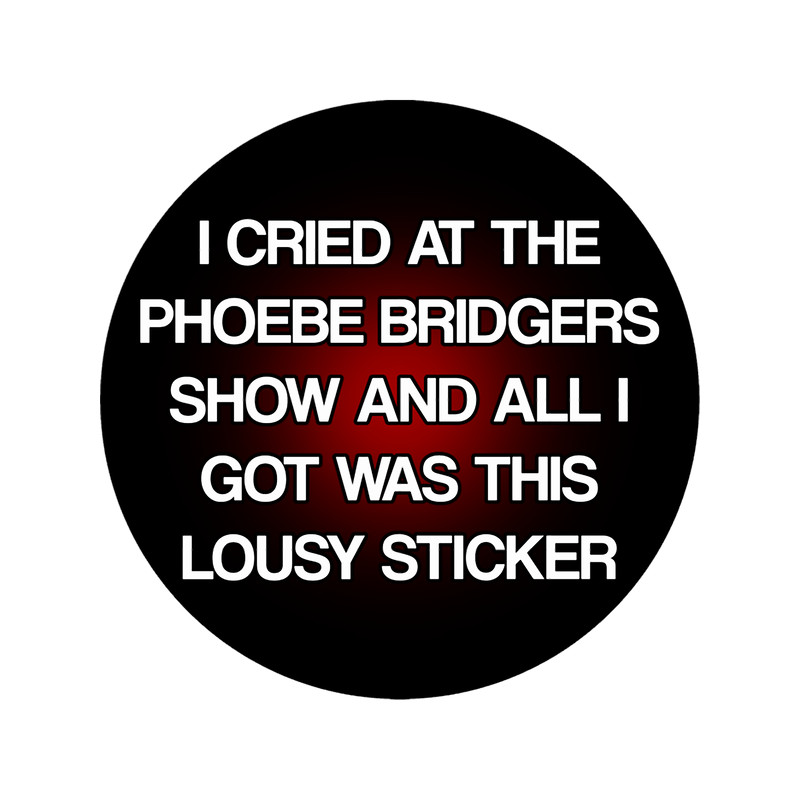 cried at the showphoebe bridgers37.png
