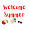 Welcome Summer (41).png