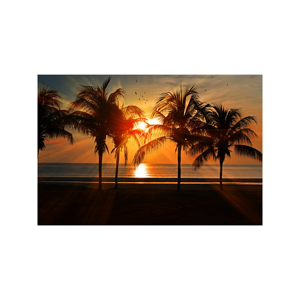 welcome Summer Long(1).png