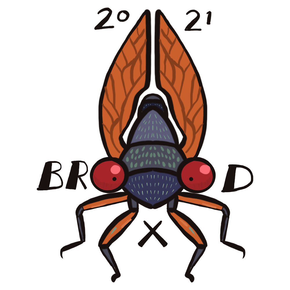 Welcome to The Summer of the Cicadas !.png