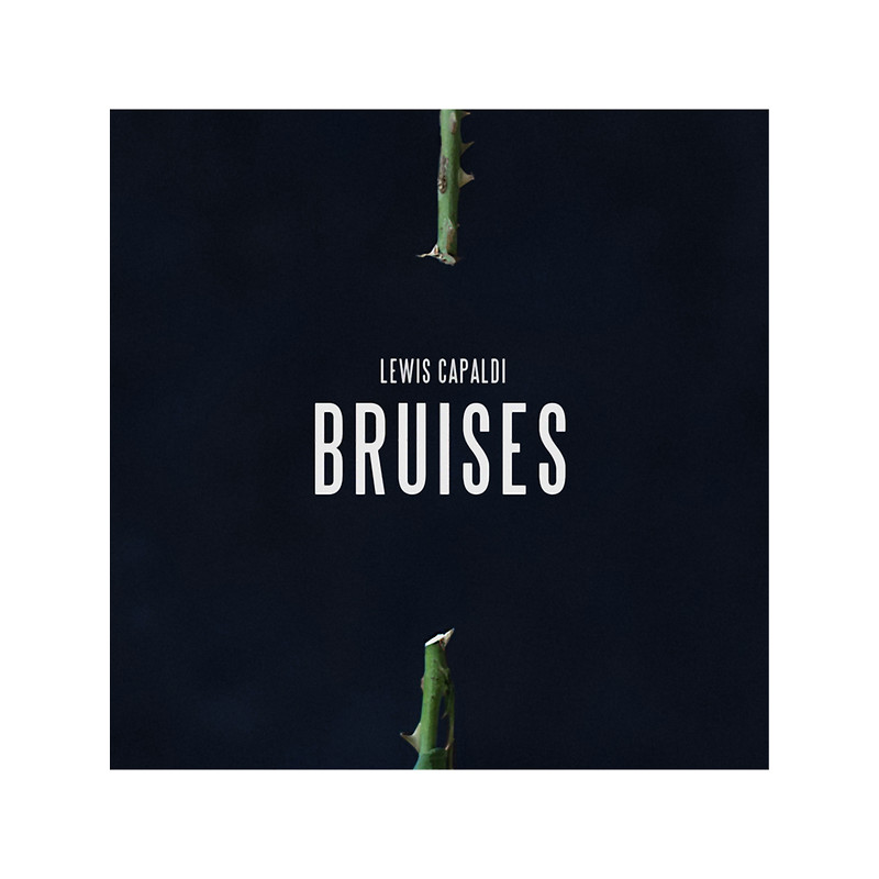 Lewis Capaldi Bruises Long .png