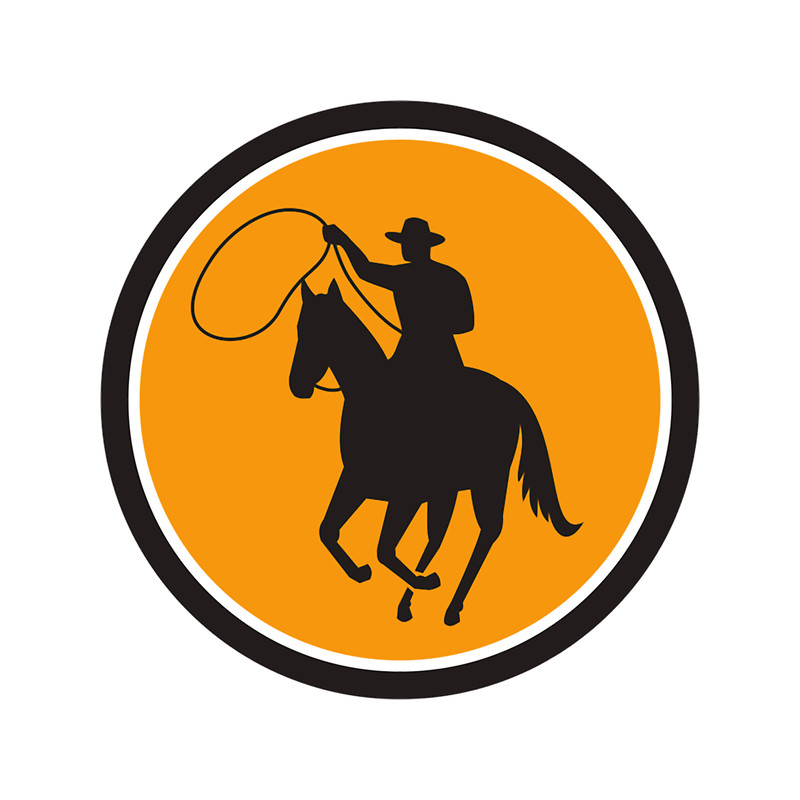 orville peck (2).png