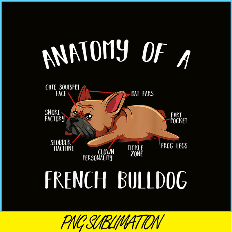 HL16102304-Anatomy Of A French Bulldog PNG Frenchie Dog PNG, Bulldog Mascot PNG.png