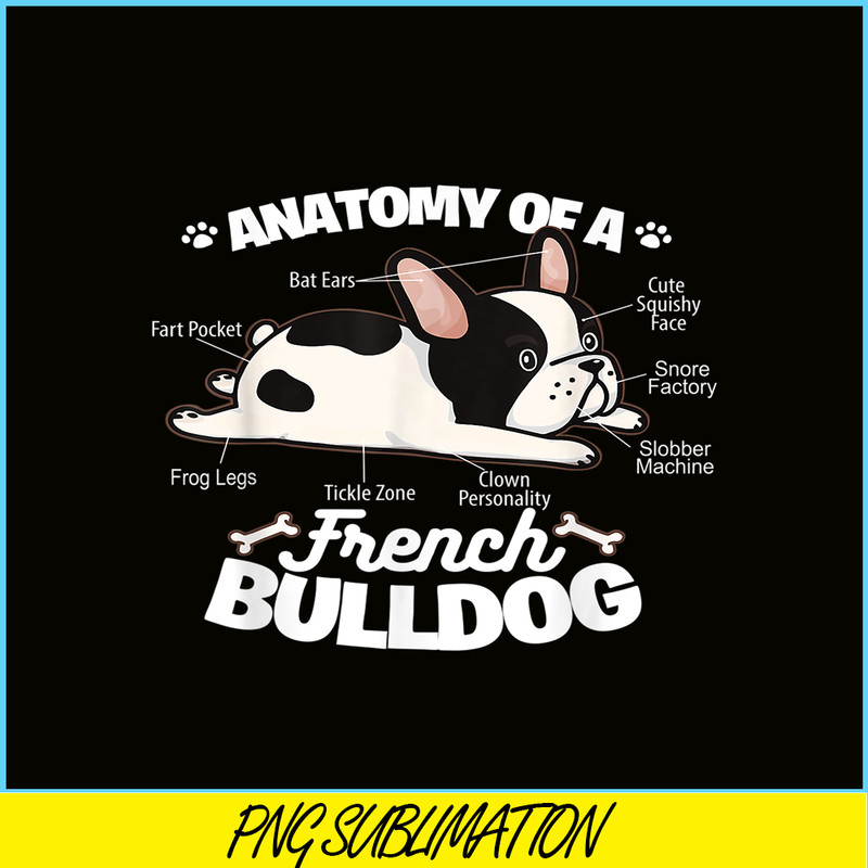 HL16102360-Anatomy Of A French Bulldog PNG, French Bulldog Graphic PNG, Bulldog Mascot PNG.png