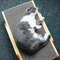 ehohWooden-Cat-Scratcher-Scraper-Detachable-Lounge-Bed-3-In-1-Scratching-Post-For-Cats-Training-Grinding.jpg